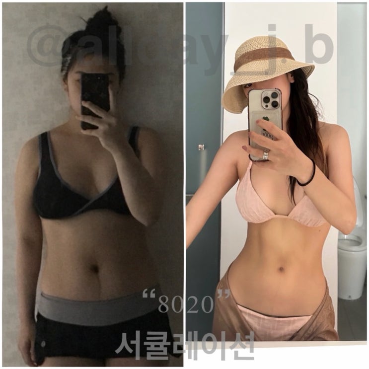 8020 서큘레이션
