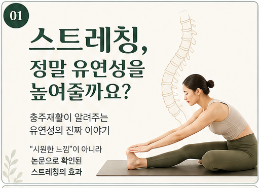 허리통증 스트레칭